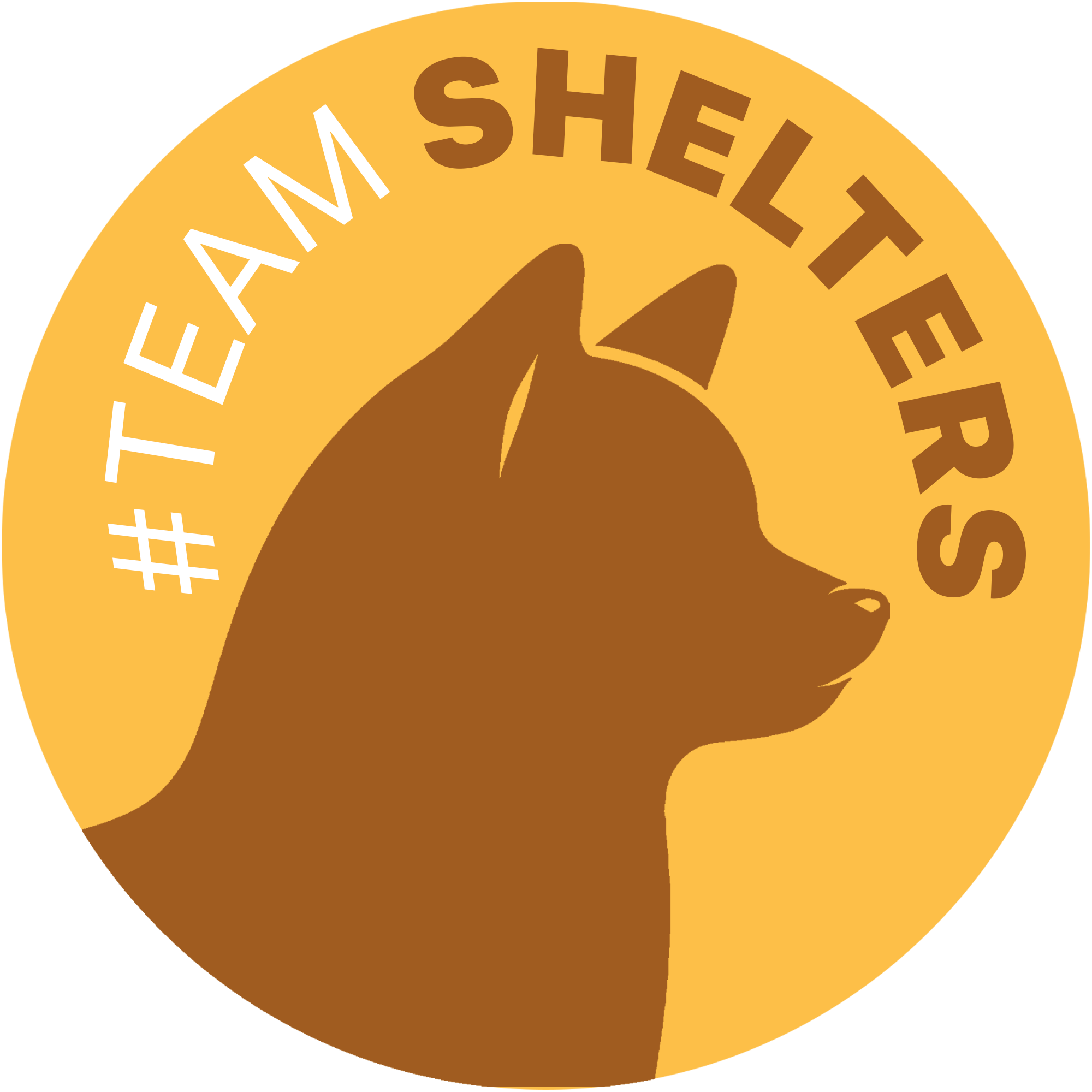 TeamShelters Logo